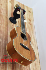 Dadarwood Premium 26" Tenor Ukulele Price in BD