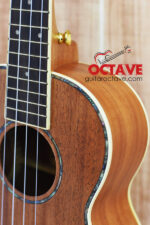 Dadarwood Premium 26" Tenor Ukulele Price in BD