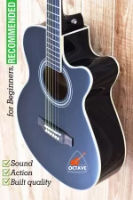 TGM TM-1 Black Pure Acoustic Guitar Price in BD