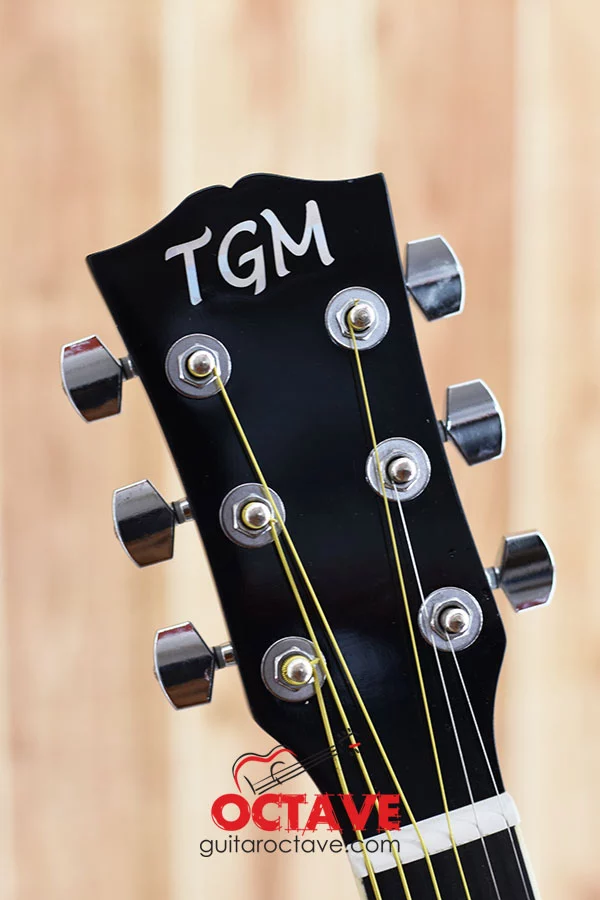 TGM TM-1 Black Pure Acoustic Guitar Price in BD