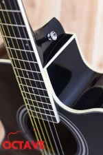 TGM TM-1 Black Pure Acoustic Guitar Price in BD