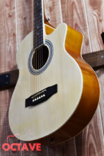 AXE AG-48C N Pure Acoustic Guitar Price in Bd