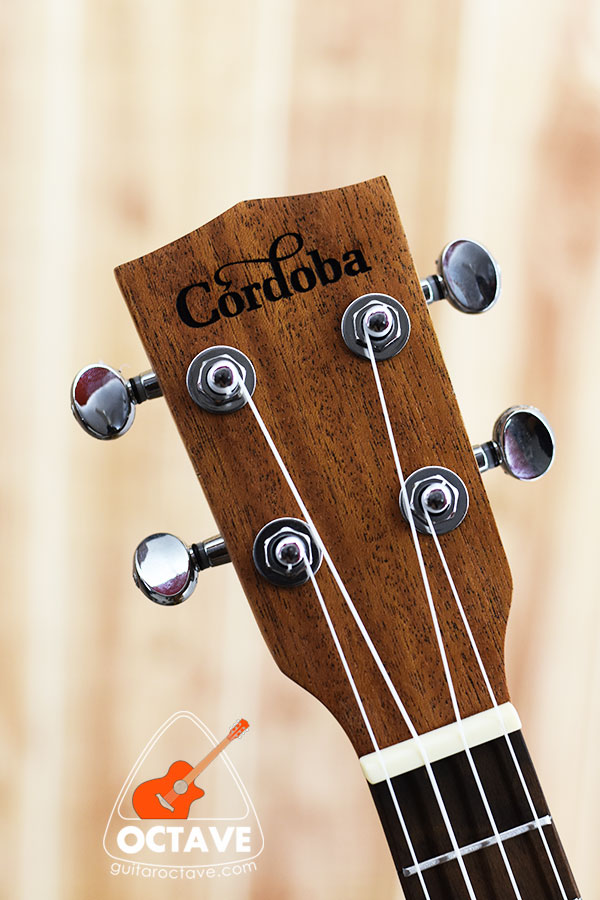 Cordoba Concert 24'' size ukulele price in bd