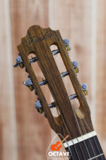 Finks GuitarLele - 6 Sting Premium guitarlele Price in BD