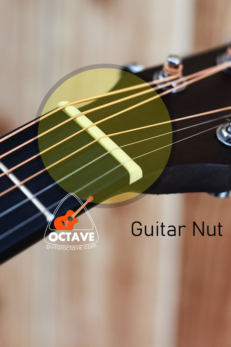 Nut for Acoustic Guitar Price in BD