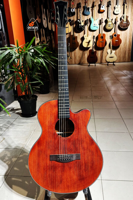 Sqoe SQ-EC-FG Pure Acoustic guitar Price in BD