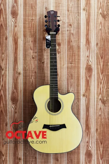 Chard F-4040C Premium Acoustic guitar price in BD