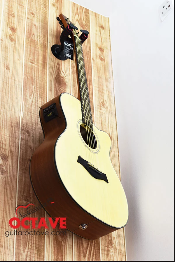 Chard F-4040C Premium Acoustic guitar price in BD