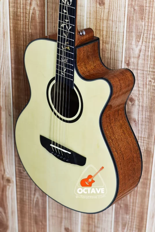 Deviser L-720B Pure Acoustic Guitar Price in BD