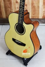 Deviser L-720B Pure Acoustic Guitar Price in BD