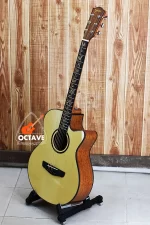 Deviser L-720B Pure Acoustic Guitar Price in BD