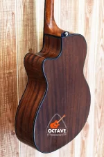 Dotch MD-150 N - Spruce Top Acoustic Guitar Price in BD