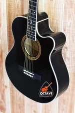 AdamSmith Buffalo AD-101C BK Pure Acoustic Guitar Price in BD