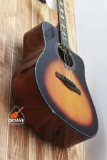 Dotch 250C Sunburst - Solid Spruce Top Dreadnought Acoustic Guitar Price in BD