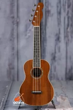 100% Authentic Fender Zuma Concert Ukulele Price in BD