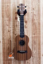 Strinberg 24" UK-06C Premium Concert Ukulele Price in BD | Best ukulele Shop in BD