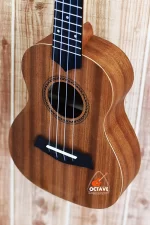 Strinberg 24" UK-06C Premium Concert Ukulele Price in BD | Best ukulele Shop in BD