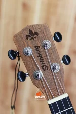 Strinberg 24" UK-06C Premium Concert Ukulele Price in BD | Best ukulele Shop in BD