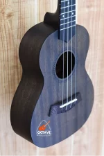 Strinberg 24" UK-06C Premium Concert Ukulele Price in BD | Best ukulele Shop in BD