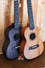 Strinberg 24" UK-06C Premium Concert Ukulele Price in BD | Best ukulele Shop in BD