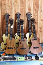 Sqoe Spain 24 inch Concert size SQ-UK-24 Series high-end personalized ukulele with full Package Price in BD