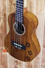 Takerge 24"Concert Ukulele Craved Designed ukulele Price in BD