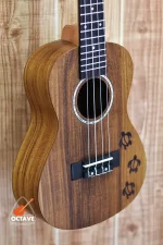 Takerge 24"Concert Ukulele Craved Designed ukulele Price in BD