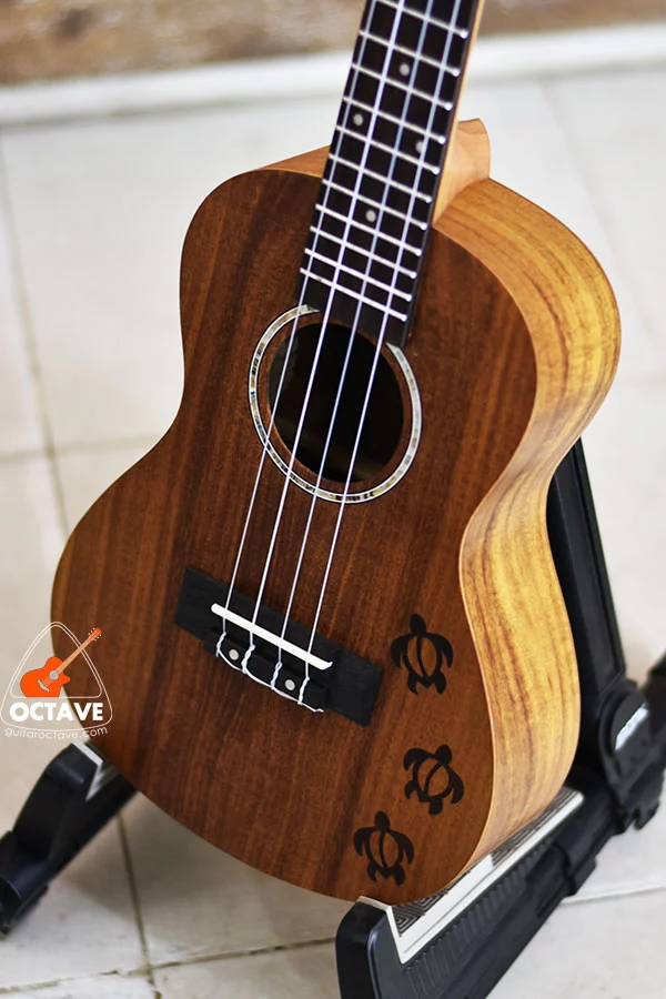 Takerge 24"Concert Ukulele Craved Designed ukulele Price in BD