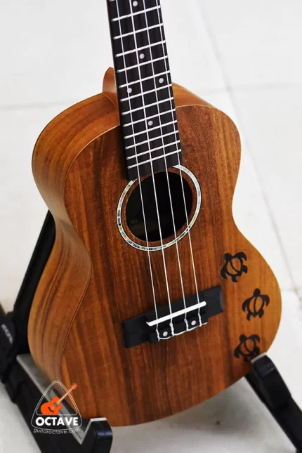Takerge 24"Concert Ukulele Craved Designed ukulele Price in BD