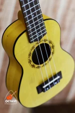 Chard 21" Premium SOPRANO ukulele Price in BD