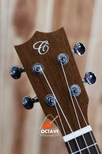 Chard 21" Premium SOPRANO ukulele Price in BD
