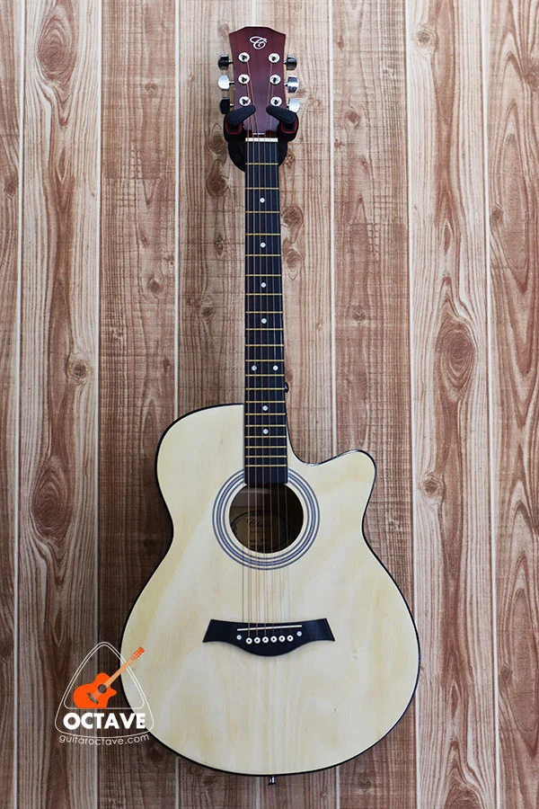 Chard 4001 - Cheap Price Beginners Acoustic Guitar Price in BD | Best Guitar Shop in BD