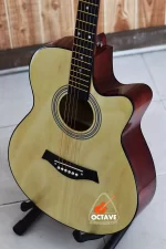 Chard 4001 - Cheap Price Beginners Acoustic Guitar Price in BD | Best Guitar Shop in BD