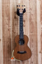 SQOE 26" Solid Wood - Premium Tenor Size kulele Price in BD | Best Ukulele Shop in BD