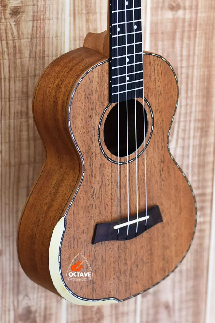 SQOE 26" Solid Wood - Premium Tenor Size kulele Price in BD | Best Ukulele Shop in BD