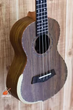 SQOE 26" Solid Wood - Premium Tenor Size kulele Price in BD | Best Ukulele Shop in BD