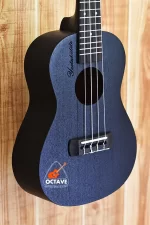 YAEL 24'' Charcoal Black Concert Size Ukulele Price in BD