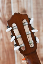 Original Yamaha GL1 Guitalele Made in Indonesia Price in BD - Yamaha Guitar Shop in BD