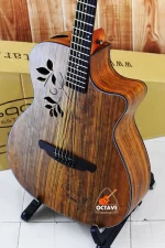 Sqoe Sq-I Premium Personalized acoustic guitar Price in BD