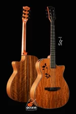 Sqoe Sq-I Premium Personalized acoustic guitar Price in BD