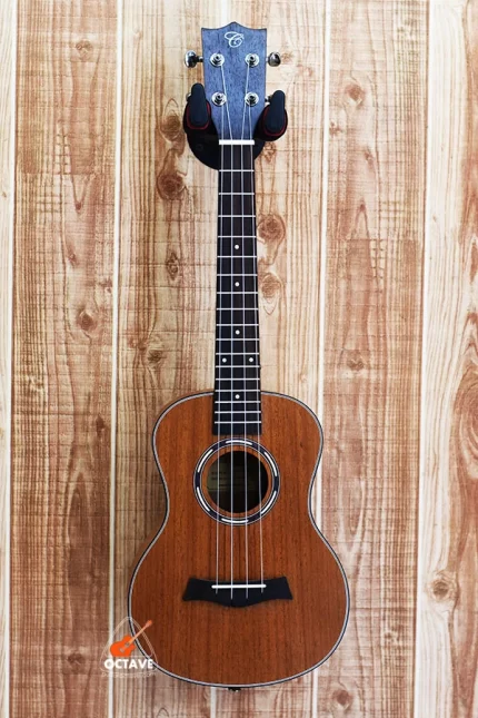 Chard 24THX-S Premium Concert Size Ukulele Price in BD | Best Ukulele Shop in BD