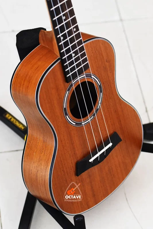 Chard 24THX-S Premium Concert Size Ukulele Price in BD | Best Ukulele Shop in BD