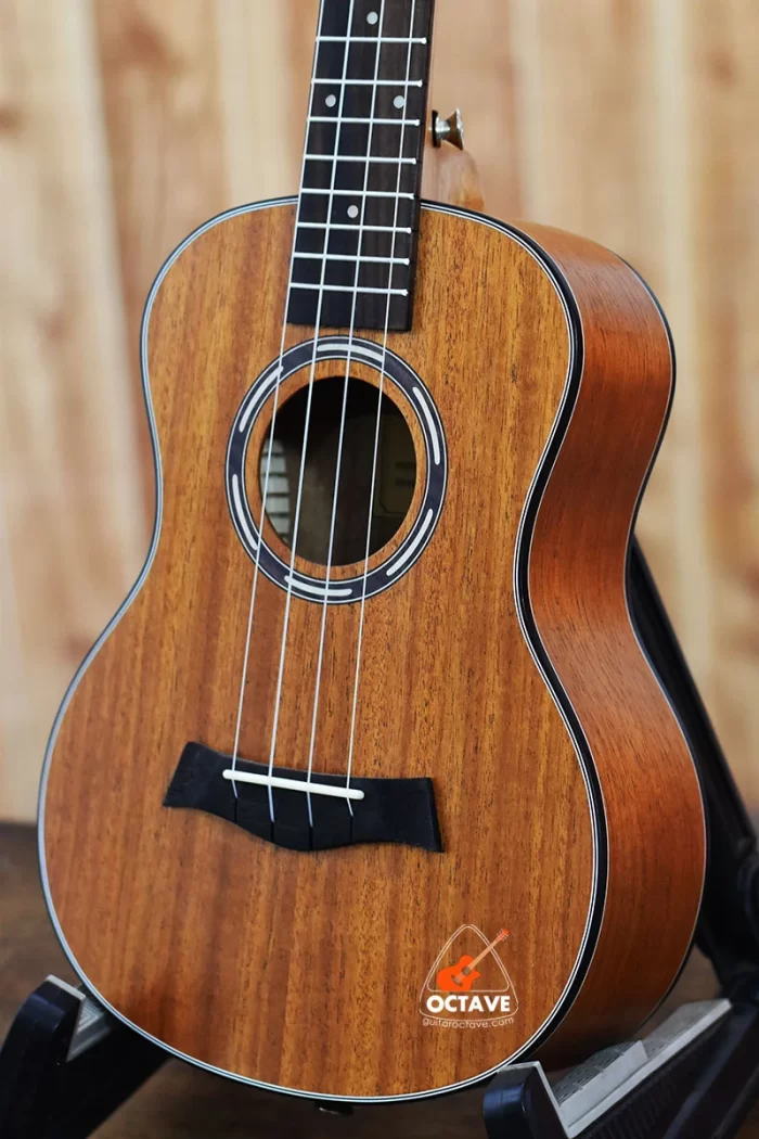 Chard 24THX-S Premium Concert Size Ukulele Price in BD | Best Ukulele Shop in BD