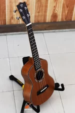 Chard 24THX-S Premium Concert Size Ukulele Price in BD | Best Ukulele Shop in BD