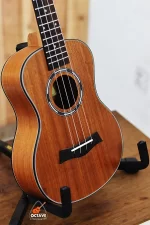 Chard 24THX-S Premium Concert Size Ukulele Price in BD | Best Ukulele Shop in BD