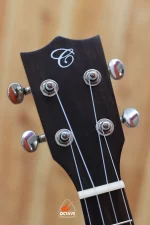 Chard 24THX-S Premium Concert Size Ukulele Price in BD | Best Ukulele Shop in BD