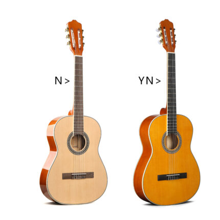 Deviser L310-39 N/YN Nylon String Classical guitar price in BD