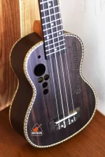 amnoon 21 rosewood body premium soprano ukulele Price in BD | Best Ukulele Shop in BD