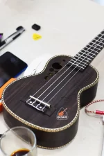 amnoon 21 rosewood body premium soprano ukulele Price in BD | Best Ukulele Shop in BD