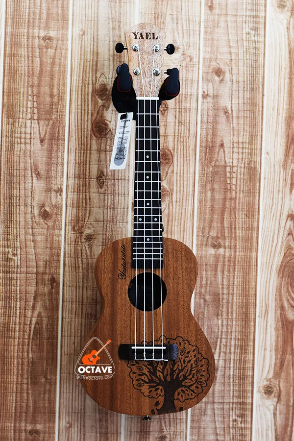 YAEL 23 tree Concert size ukulele price in BD